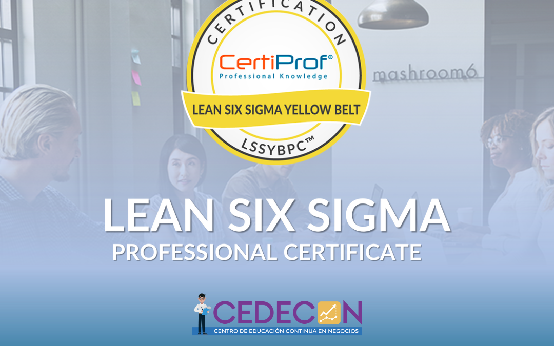 Lean Six Sigma Yellow Belt Professional Certification – LSSYBPC