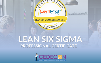 Lean Six Sigma Yellow Belt Professional Certification – LSSYBPC